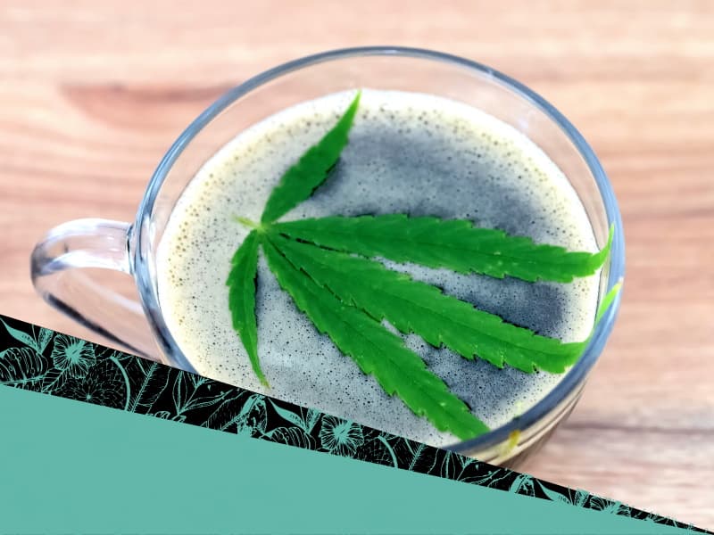 Infusions CBD